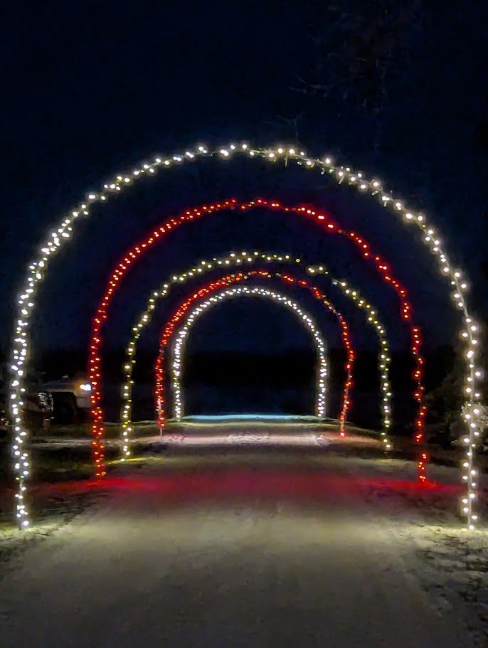 A tunnel of glowing light arches along the path at night