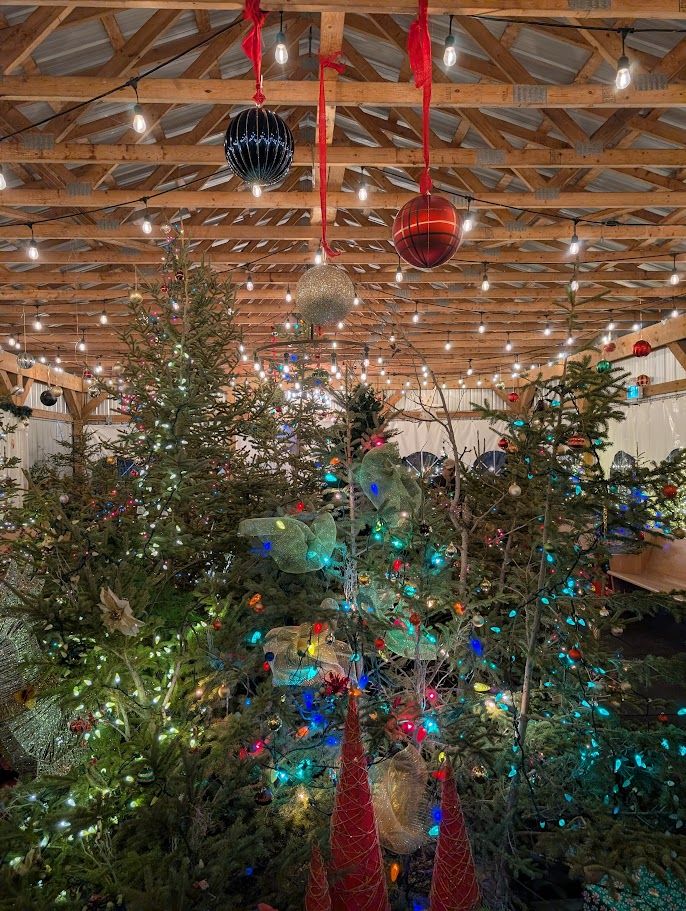 Lit evergreen trees and hanging ornaments under the tent rafters